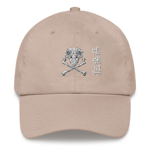 Skull and Bones Hat