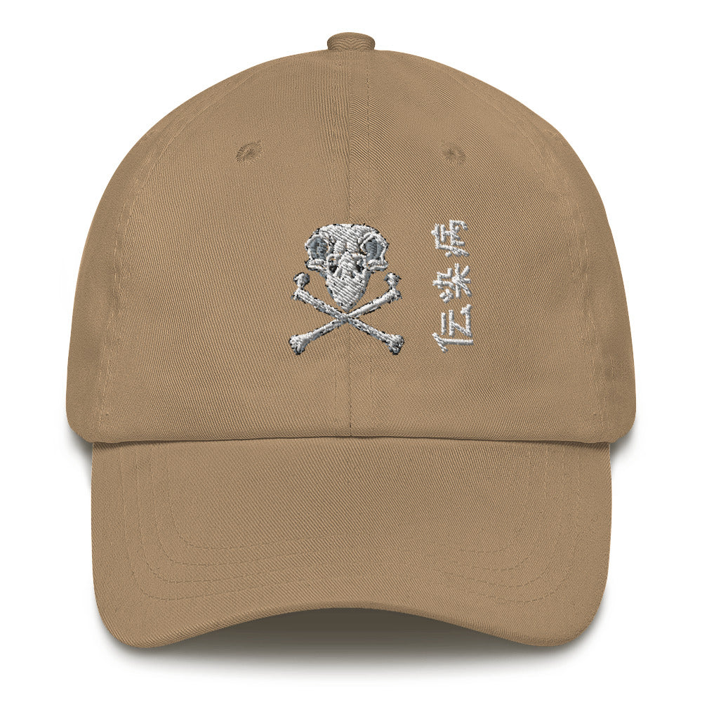 Skull and Bones Hat