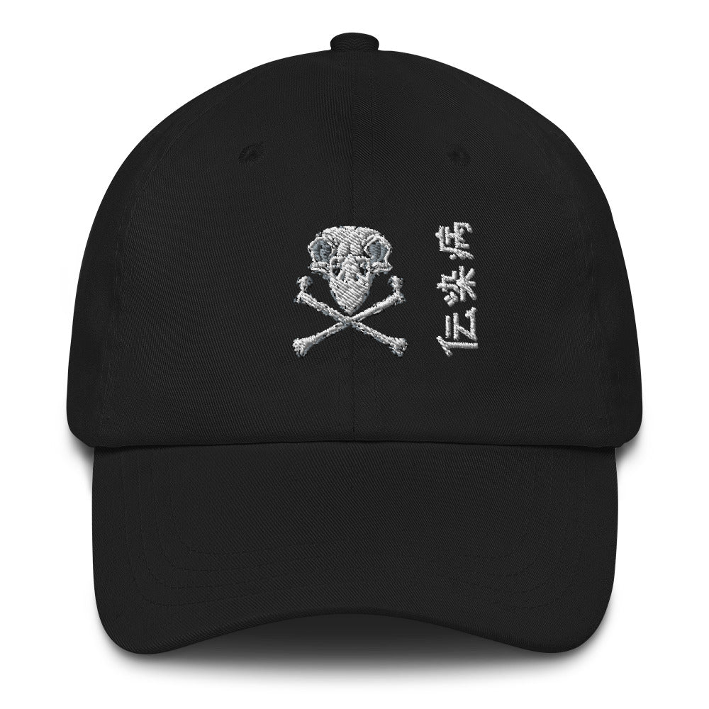 Skull and Bones Hat